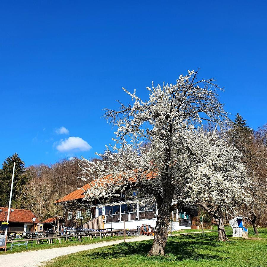 Schatzbergalm Pension Dießen am Ammersee Exterior foto